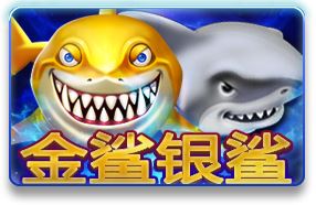 金鲨银鲨游戏下载，金鲨银鲨游戏技巧(图1)